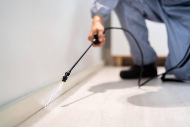 Licensed Ant Control service in Rainbow Lakes Estates, FL - Nex Pest Control