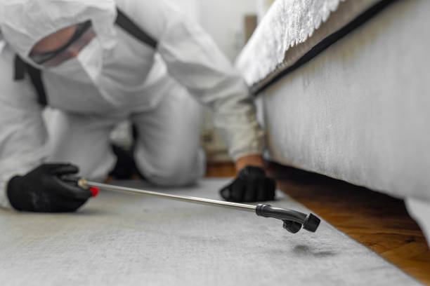 Professional Ant Control technician working in Rainbow Lakes Estates, FL