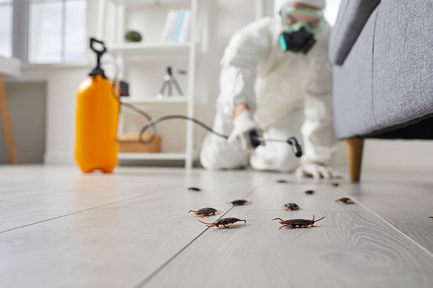 Trusted Emergency Pest Control service in Rainbow Lakes Estates, FL - Nex Pest Control